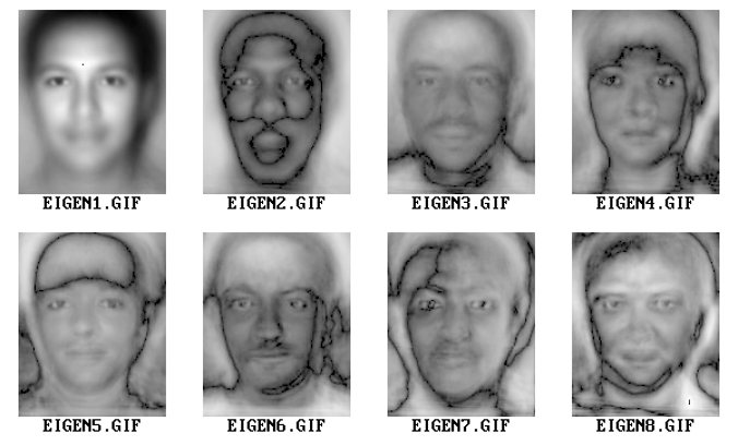 The first eight eigenfaces (labelled EIGEN1–EIGEN8) from a principal component analysis of 540 face photographs collected in Cape Town by (C. Tredoux, 2002). Each eigenface is a dimension of variation across the image set: the first captures the largest variance (overall brightness and face shape), with successive components capturing progressively smaller sources of variation. Any face image can be approximated as a weighted sum of these components, producing a compact numerical description.